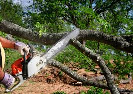 Best Lot and Land Clearing  in El Monte, CA